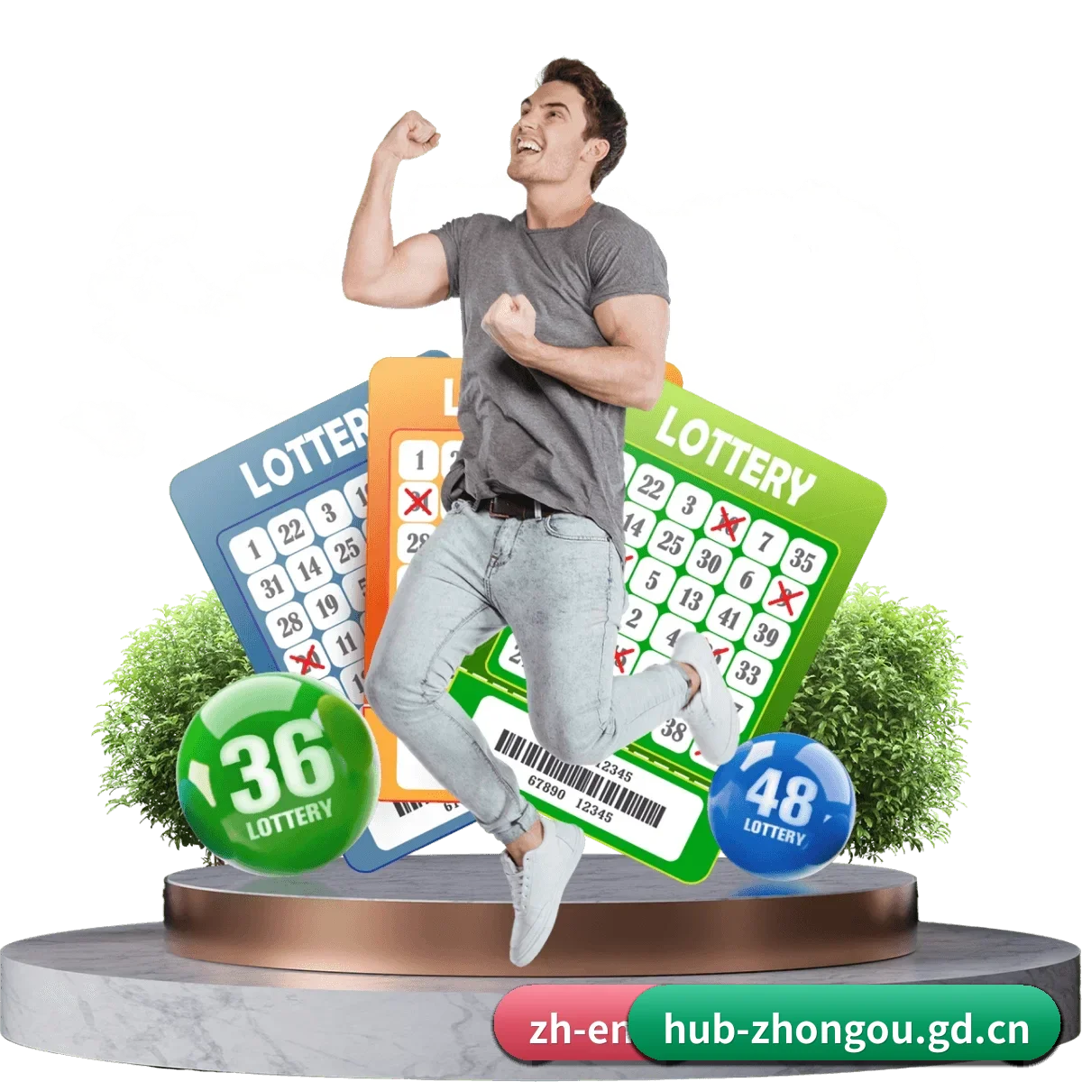 中欧平台 APP